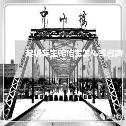 起诉车主赔偿金怎么写合同/2023041739369
