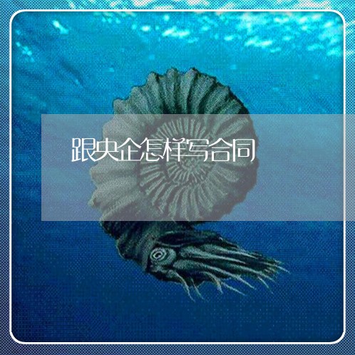 跟央企怎样写合同/2023022695818
