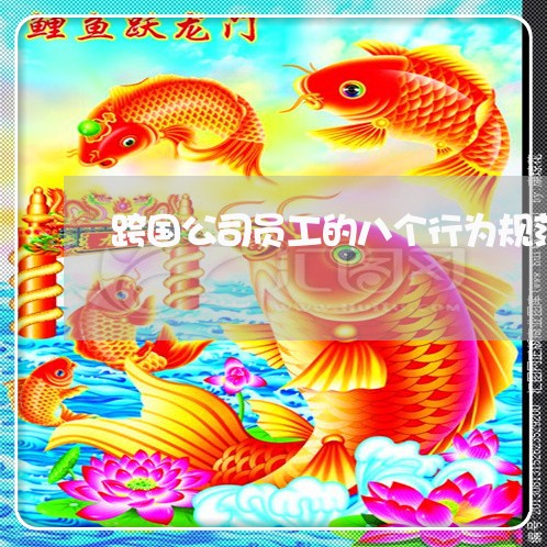 跨国公司员工的八个行为规范教材 跨国公司员工的八个行为规范教材