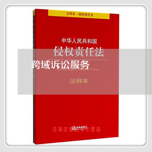 跨域诉讼服务