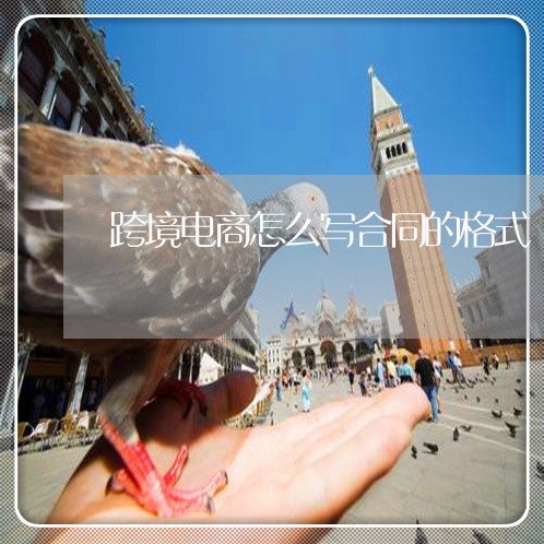 跨境电商怎么写合同的格式/2023030431501