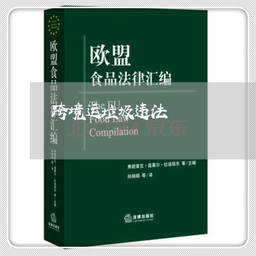 跨境运垃圾违法