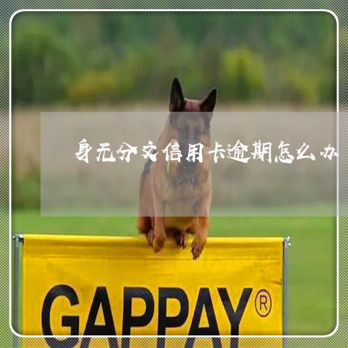 身无分文信用卡逾期怎么办 身无分文信用卡逾期怎么办