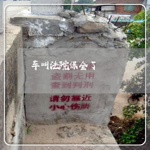 车叫法院保全了