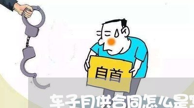 车子月供合同怎么是写月租/2023042203805
