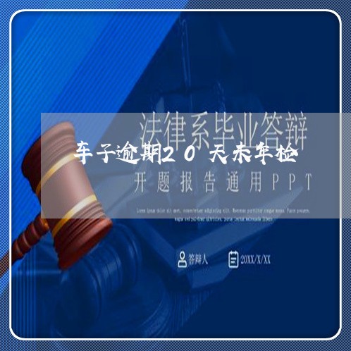 车子逾期20天未年检 车子逾期20天未年检
