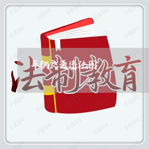 车辆交通违法图 车辆交通违法图