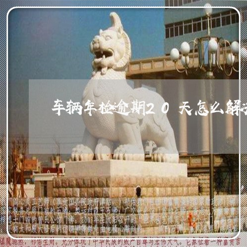 车辆年检逾期20天怎么解决 车辆年检逾期20天怎么解决