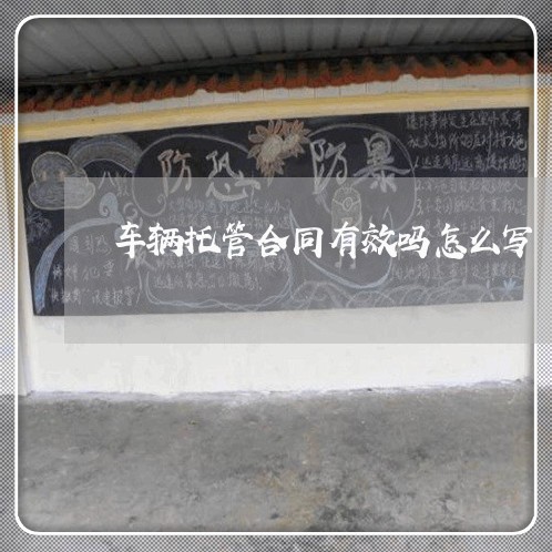 车辆托管合同有效吗怎么写/2023041445937