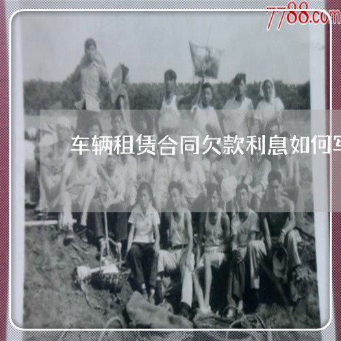 车辆租赁合同欠款利息如何写/2023041349279