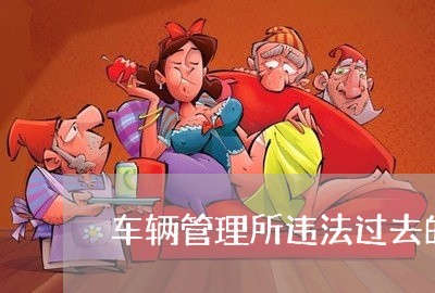 车辆管理所违法过去的赔偿