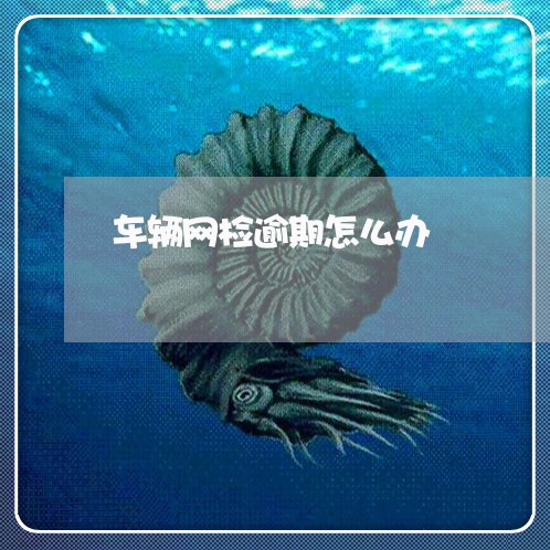 车辆网检逾期怎么办 车辆网检逾期怎么办