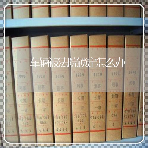 车辆被法院锁定怎么办