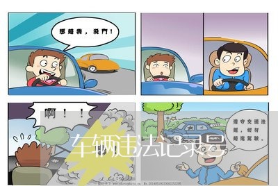 车辆违法记录号