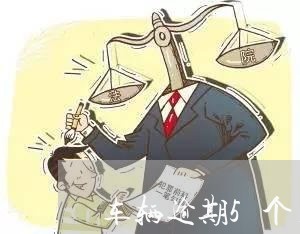车辆逾期5个月没年审