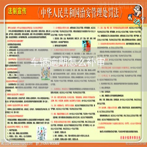 车辆逾期怎么补审