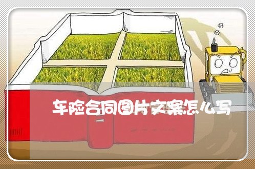 车险合同图片文案怎么写/2023022680624
