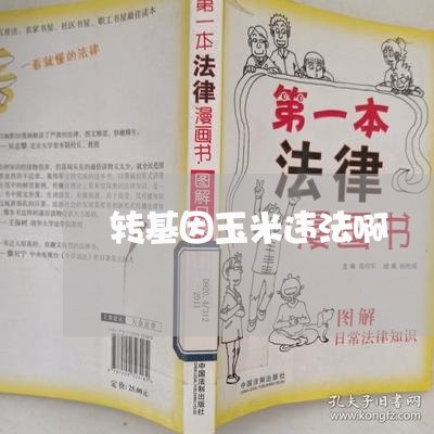 转基因玉米违法啊 转基因玉米违法啊
