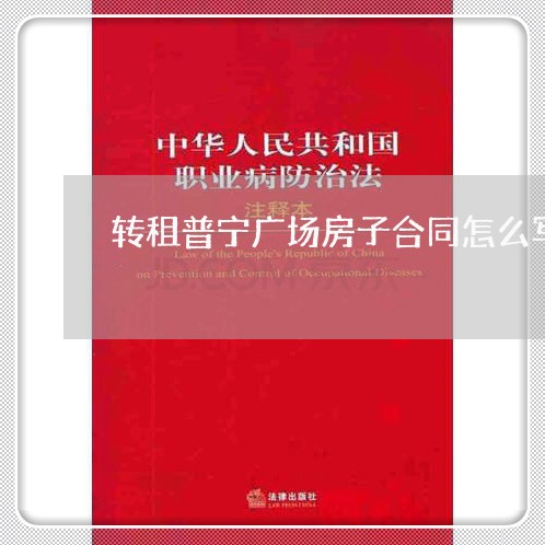 转租普宁广场房子合同怎么写/2023041316157