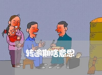 转逾期啥意思