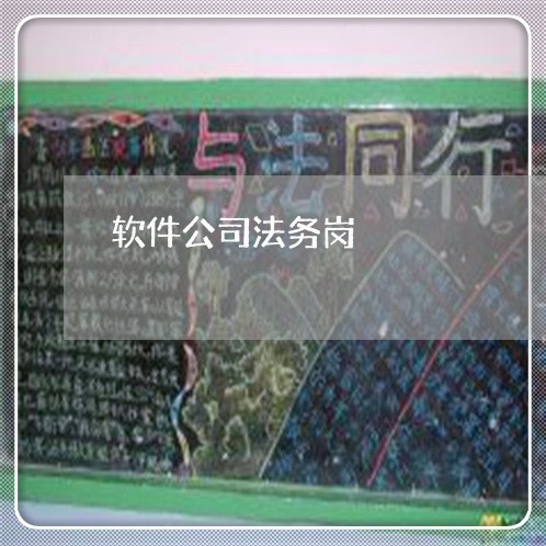 软件公司法务岗 软件公司法务岗