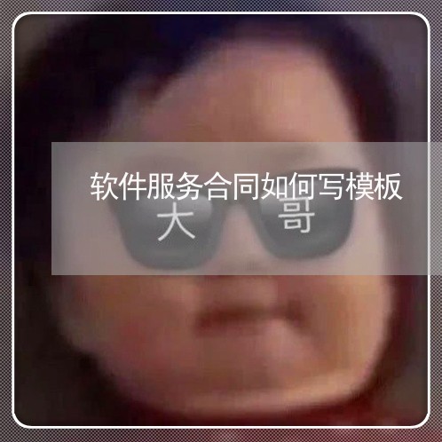 软件服务合同如何写模板/2023022628371