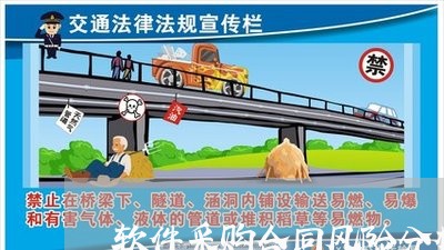 软件采购合同风险分析怎么写/2023022655169