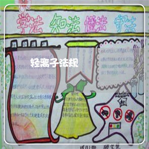 轻离子法规 轻离子法规