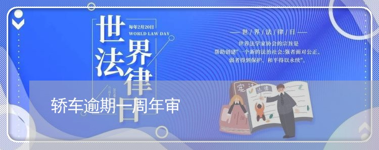 轿车逾期一周年审