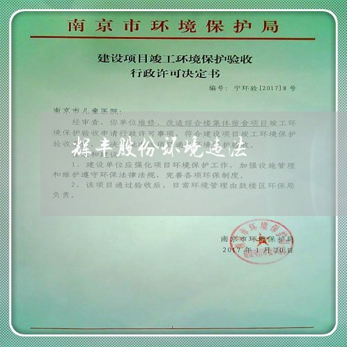 辉丰股份环境违法