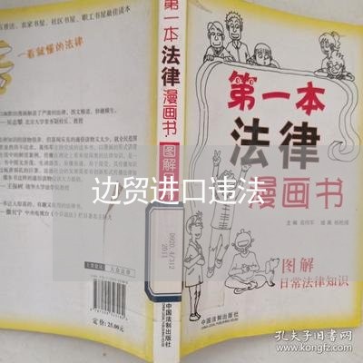 边贸进口违法