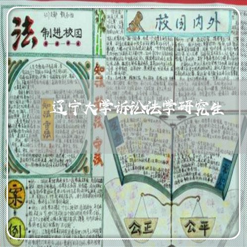 辽宁大学诉讼法学研究生 辽宁大学诉讼法学研究生