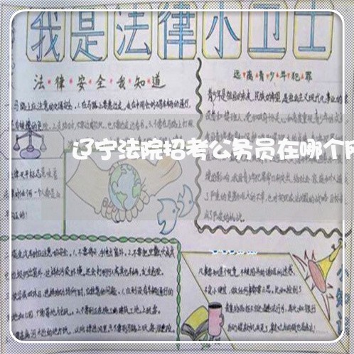 辽宁法院招考公务员在哪个网站 辽宁法院招考公务员在哪个网站