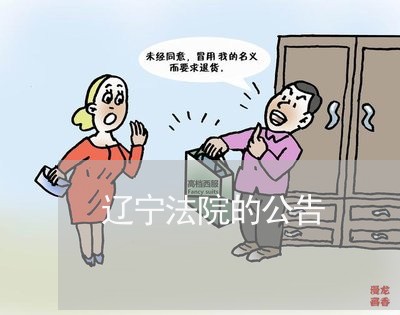 辽宁法院的公告