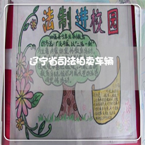 辽宁省司法拍卖车辆
