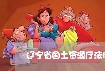 辽宁省国土资源厅法律顾问