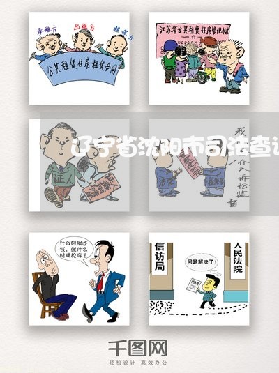 辽宁省沈阳市司法查询系统