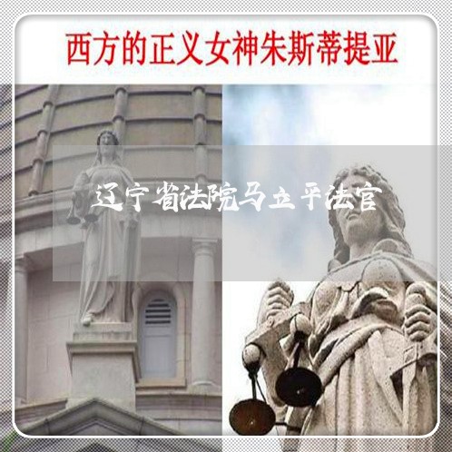 辽宁省法院马立平法官