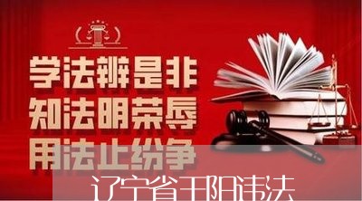 辽宁省王阳违法 辽宁省王阳违法