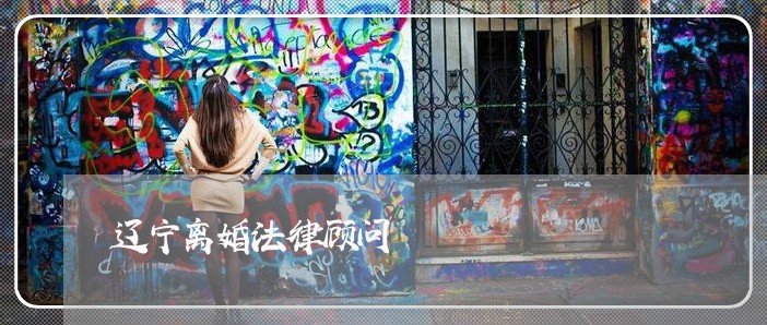 辽宁离婚法律顾问/2023061774724
