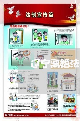 辽宁离婚法律顾问/2023061783726
