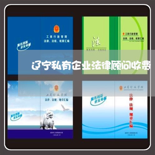 辽宁私有企业法律顾问收费/2023061926260