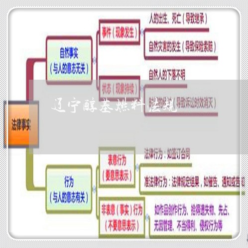 辽宁醇基燃料法规