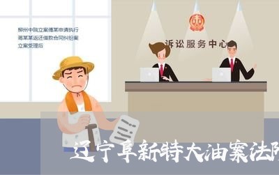 辽宁阜新特大油案法院公告 辽宁阜新特大油案法院公告