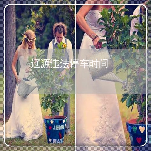 辽源违法停车时间 辽源违法停车时间