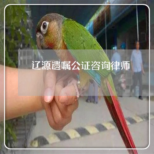 辽源遗嘱公证咨询律师 辽源遗嘱公证咨询律师