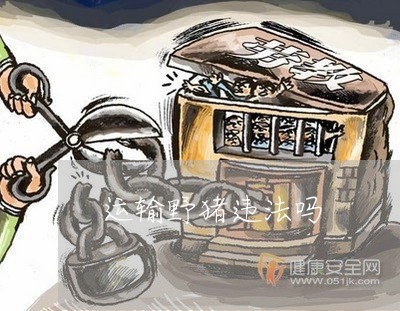 运输野猪违法吗 运输野猪违法吗