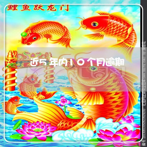 近5年内10个月逾期 近5年内10个月逾期