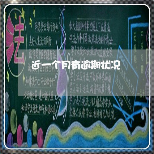 近一个月有逾期状况 近一个月有逾期状况