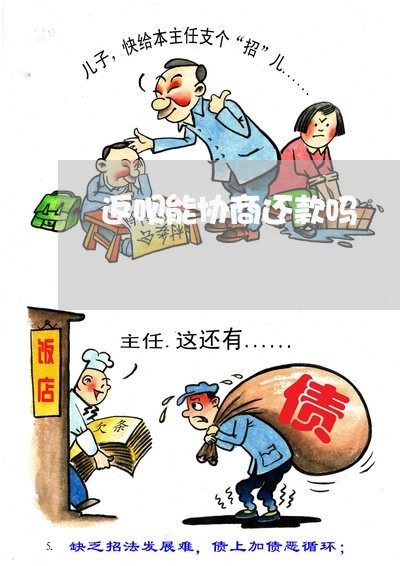 返呗能协商还款吗/2023110871617